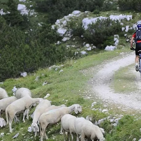Tremasi Altopiano Di Asiago *